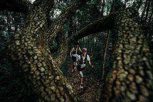 BIB: 
                            <button type="button" onclick="openModal(25692189)" class="btn btn-primary btn-sm float-right btn-popup" data-toggle="modal" data-target=".modal-high-quality">
                        <i class="fas fa-shopping-cart"></i> Add to Cart
                    </button>
                                            <button type="button" onclick="isThisMe(25692189, true)" class="btn btn-success btn-sm float-right btn-popup btn-isme hidden" data-toggle="tooltip" data-placement="bottom" title="นี่คือรูปของคุณใช่ไหม คลิกที่นี่เพื่อเอาเข้าอัลบั้ม">
                        <i class="fas fa-plus"></i> Add to album
                    </button>
                    <button type="button" onclick="isThisMe(25692189, false)" class="btn btn-warning btn-sm float-right btn-popup btn-isnotme hidden">
                        <i class="fas fa-ban"></i> Remove from album
                    </button>